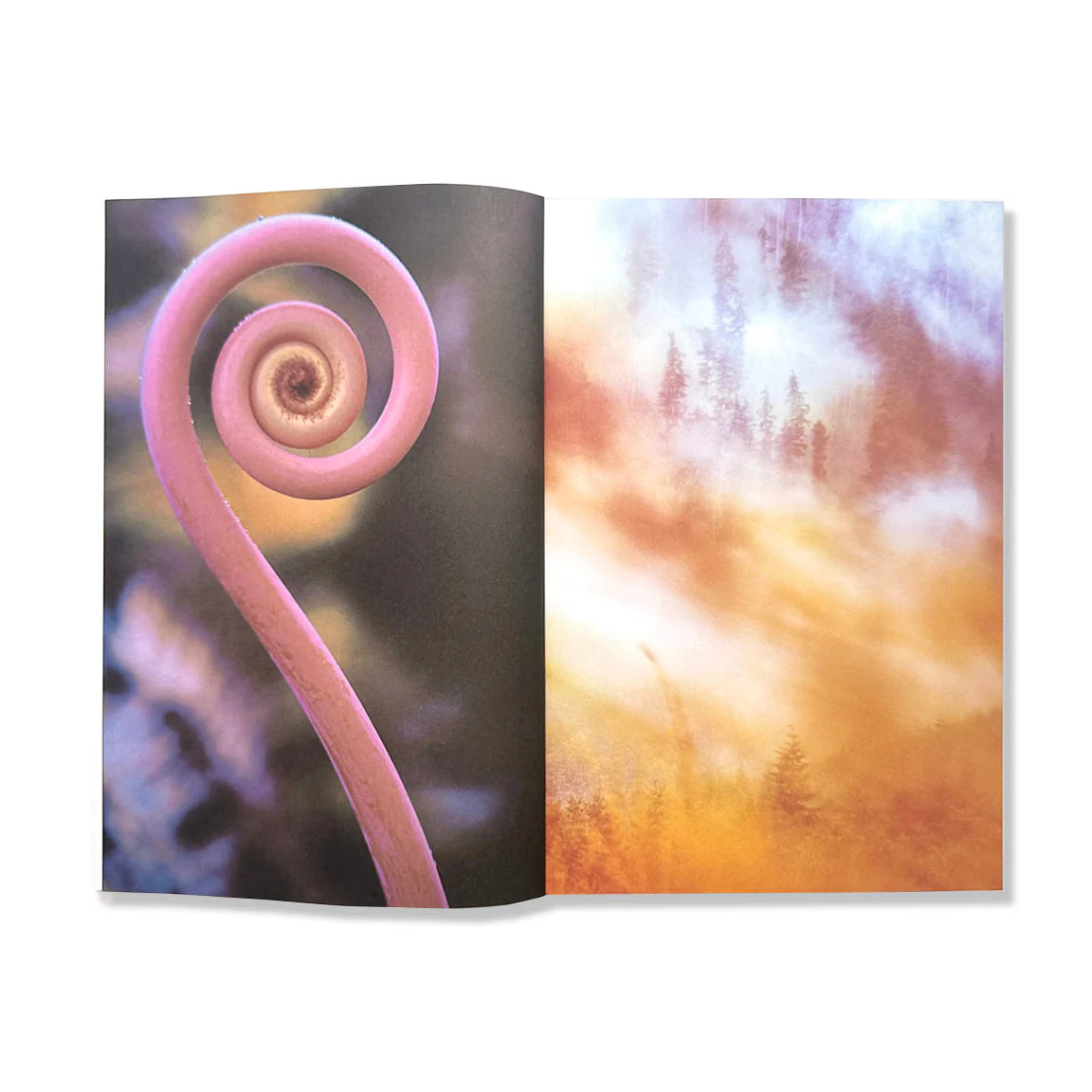 Brian Merriam - "The Absolute Recedes" - Image 3
