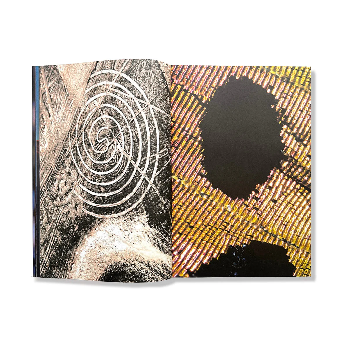 Brian Merriam - "The Absolute Recedes" - Image 5
