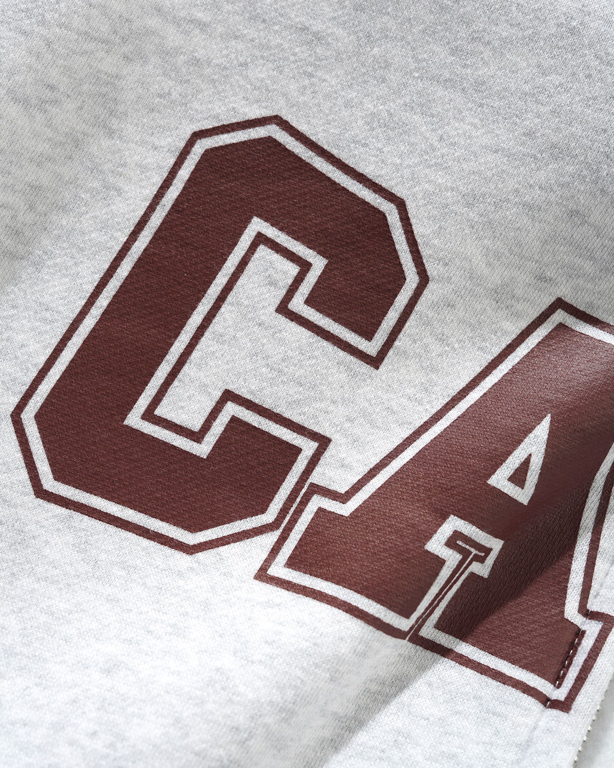 Campus Zip-Thru Hood, Ash - Image 2