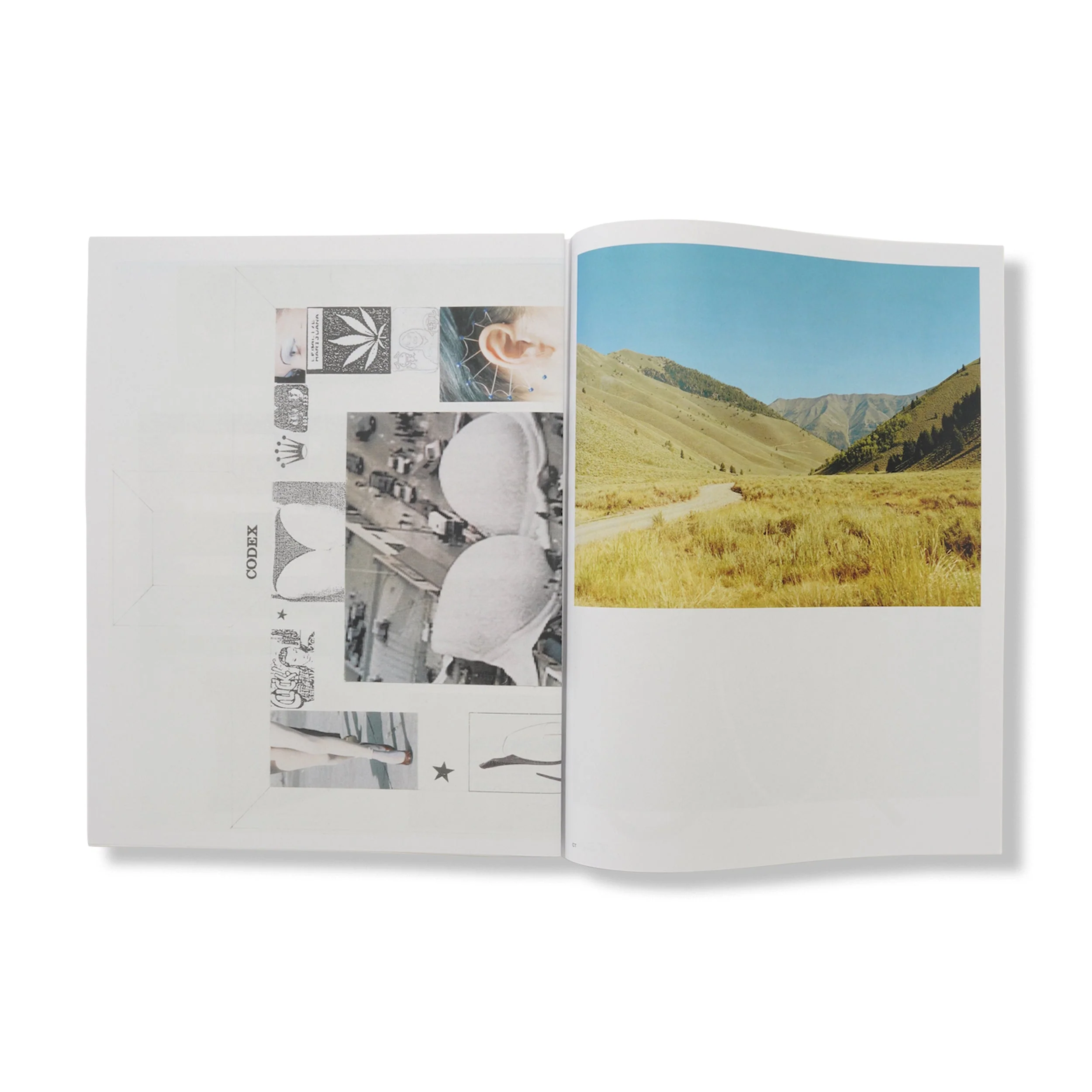 CenterFold - Image 3