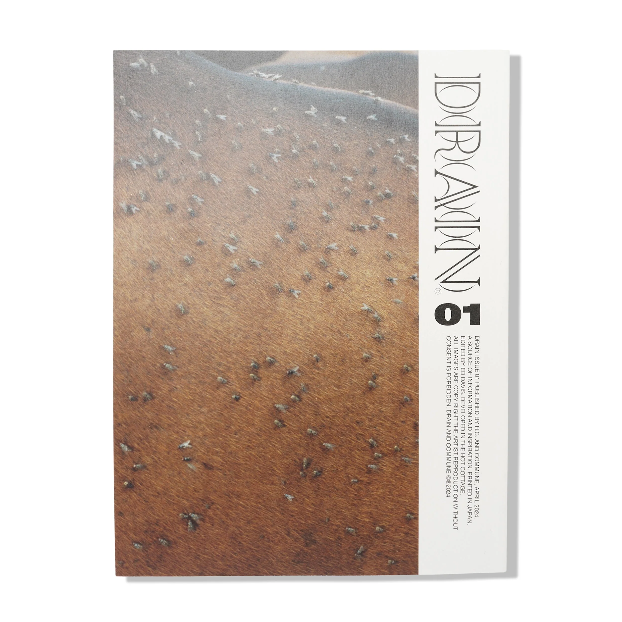 Drain Issue 01 - Image 2