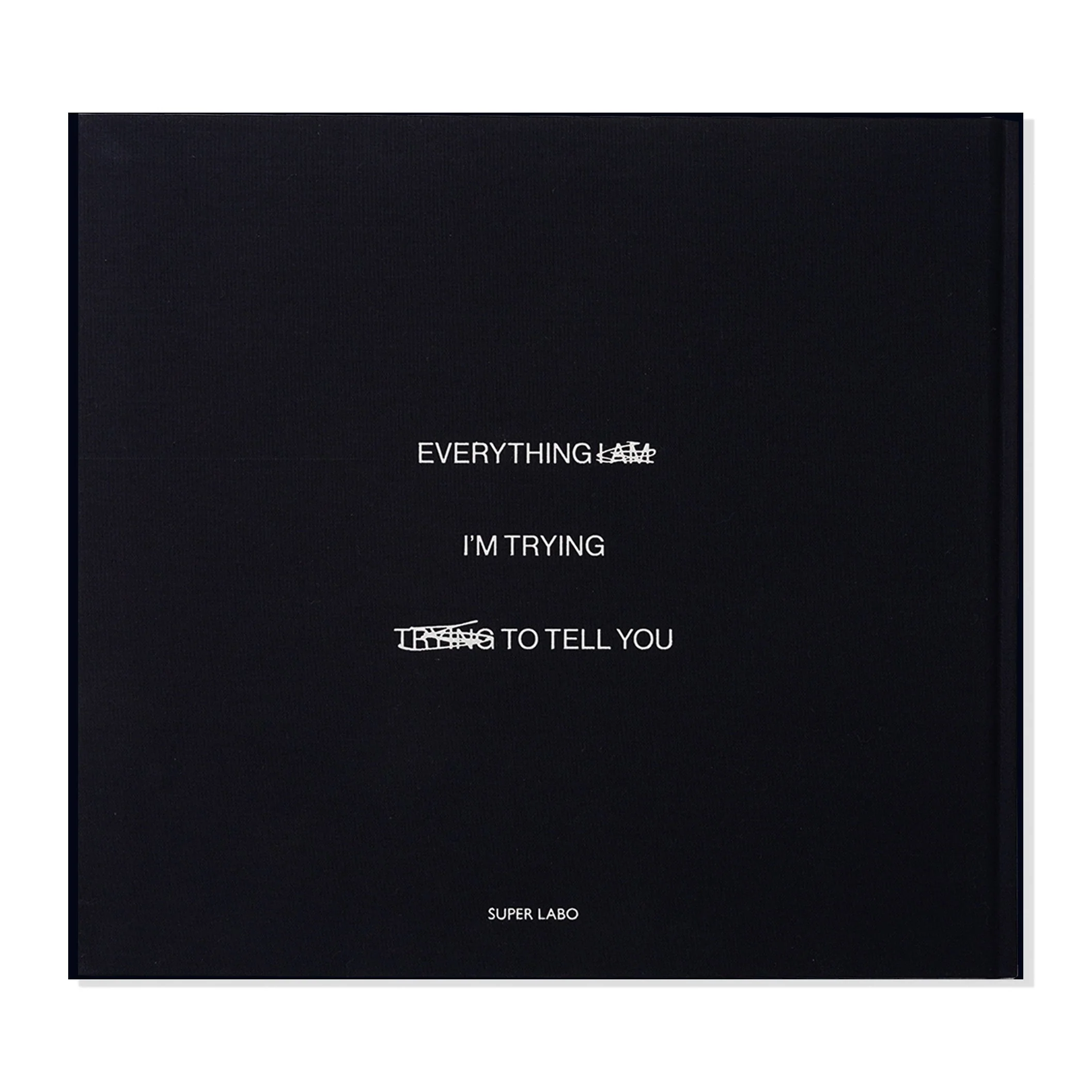 Everything I'm Trying To Tell You - Greg Hunt - Image 4