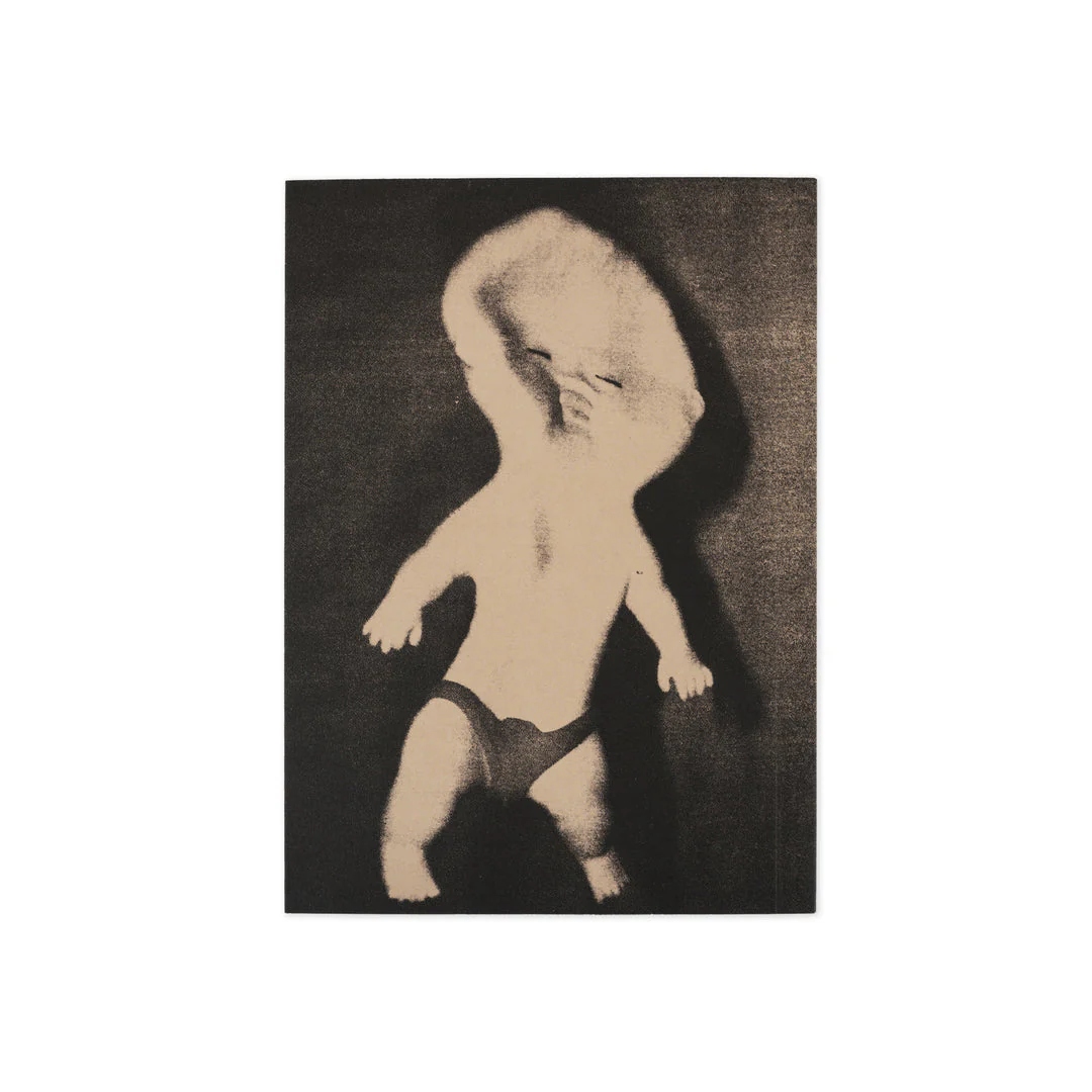 Everything Is Normal Book - Image 2