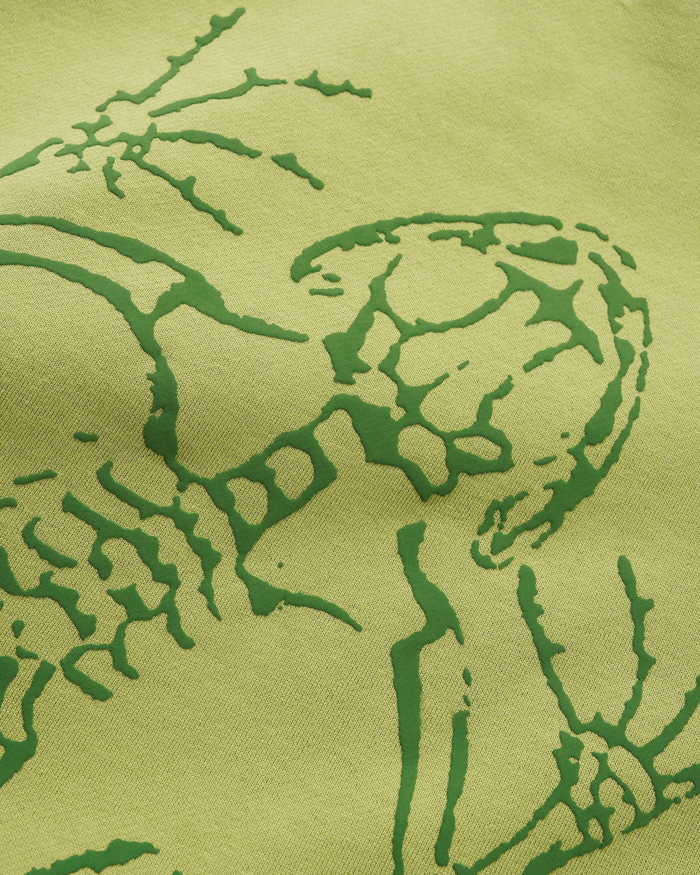 Fossil Pullover Hood, Moss - Image 4