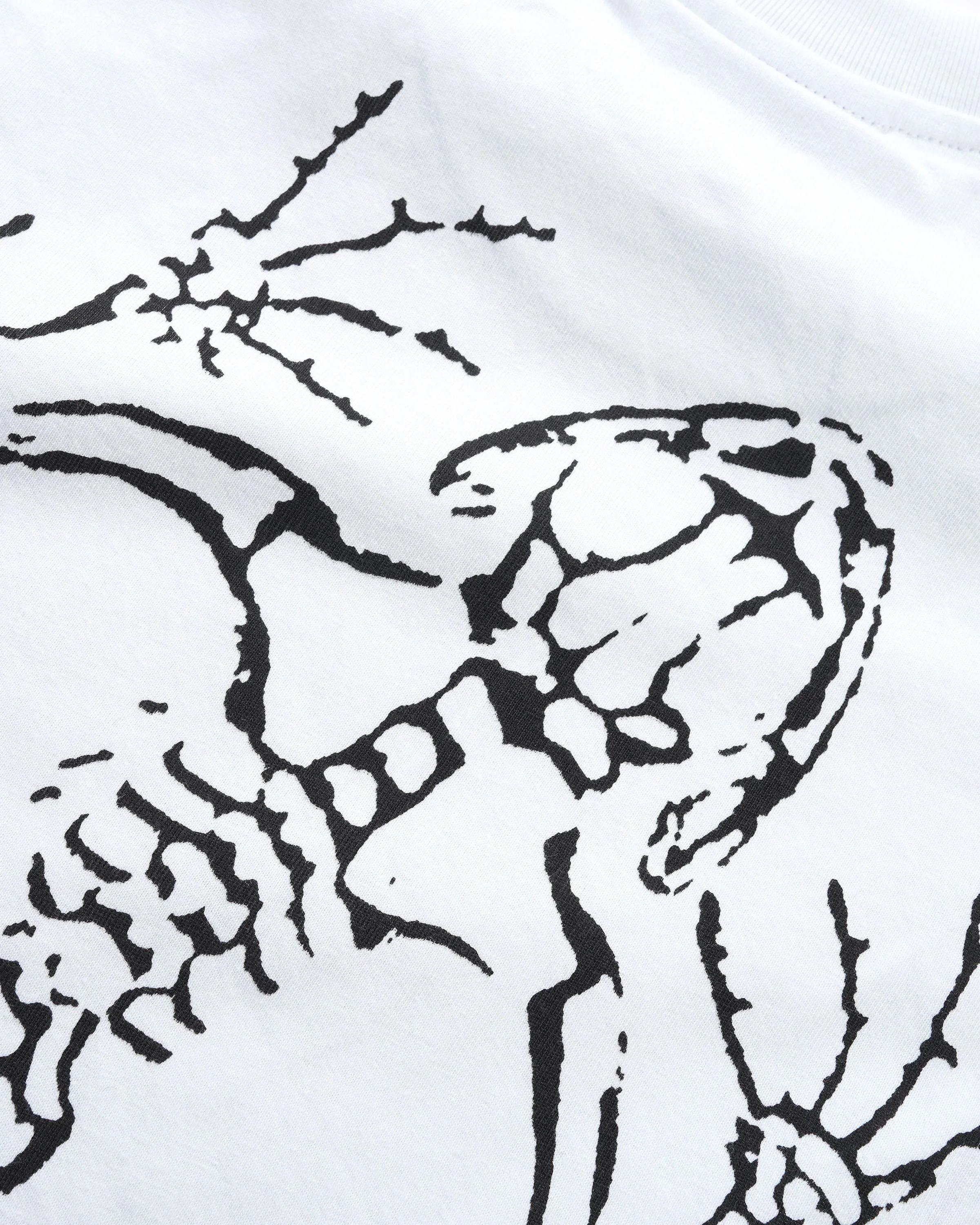 Fossil Tee, White - Image 4