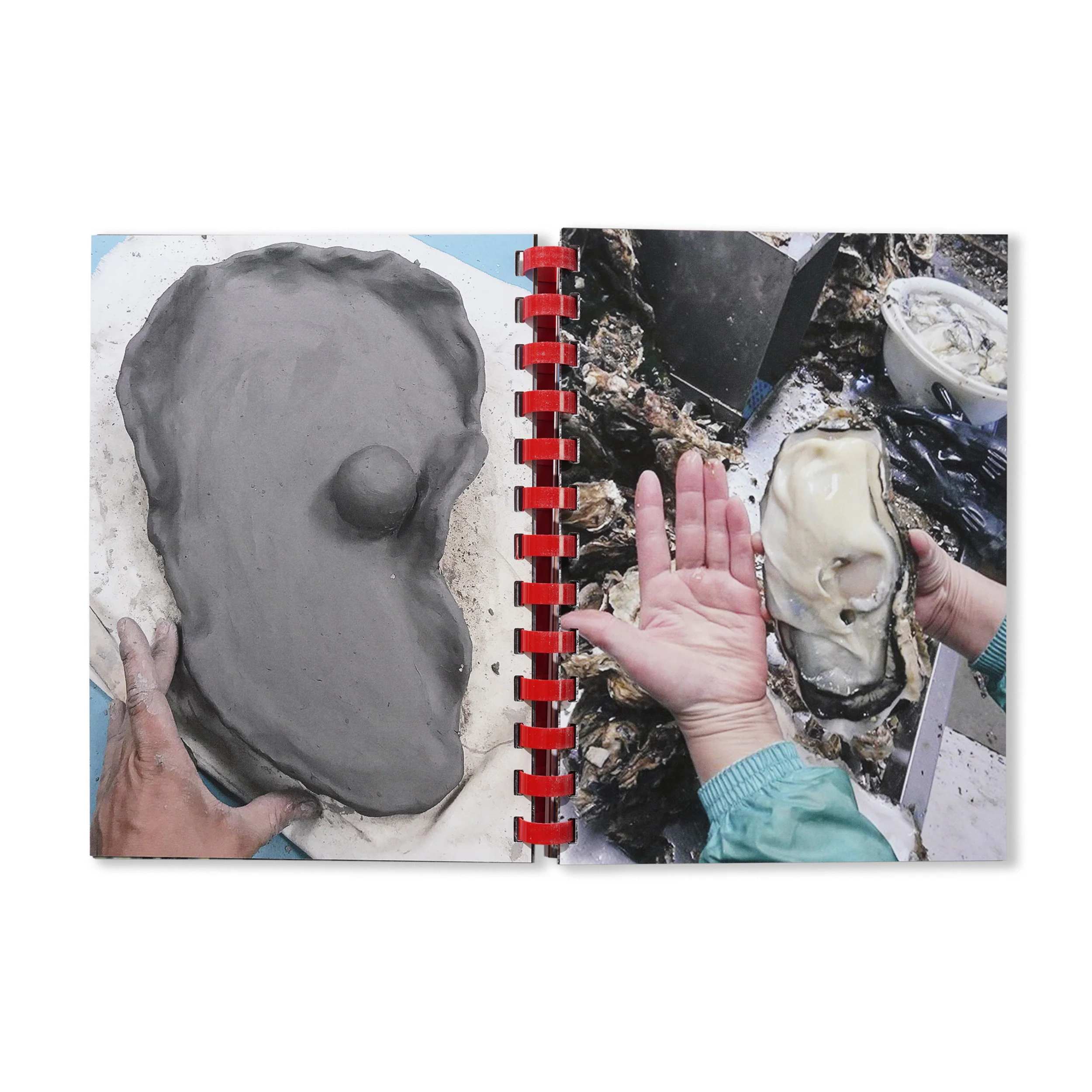 Hand For Scale - By Max Gravrich - Image 2