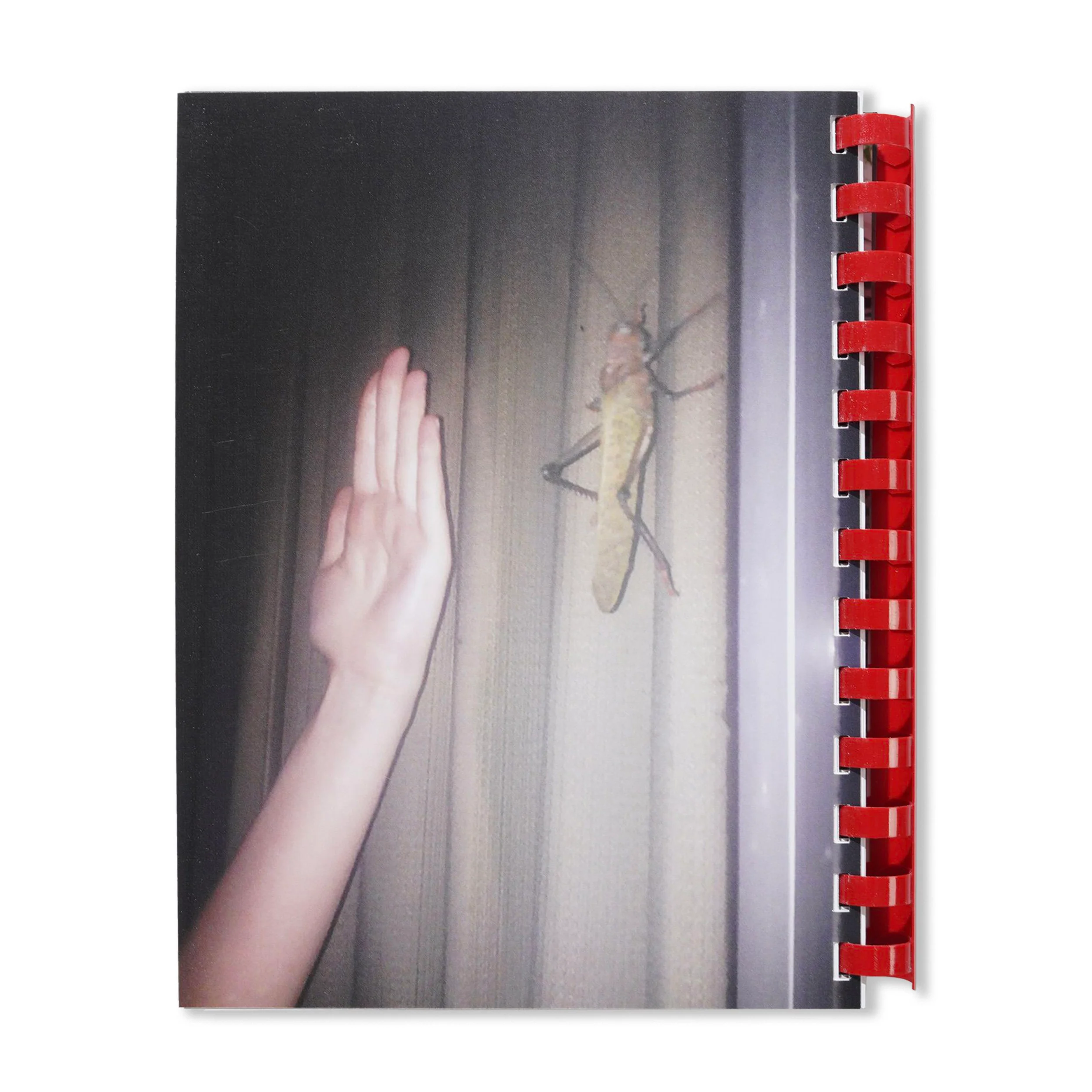 Hand For Scale - By Max Gravrich - Image 8