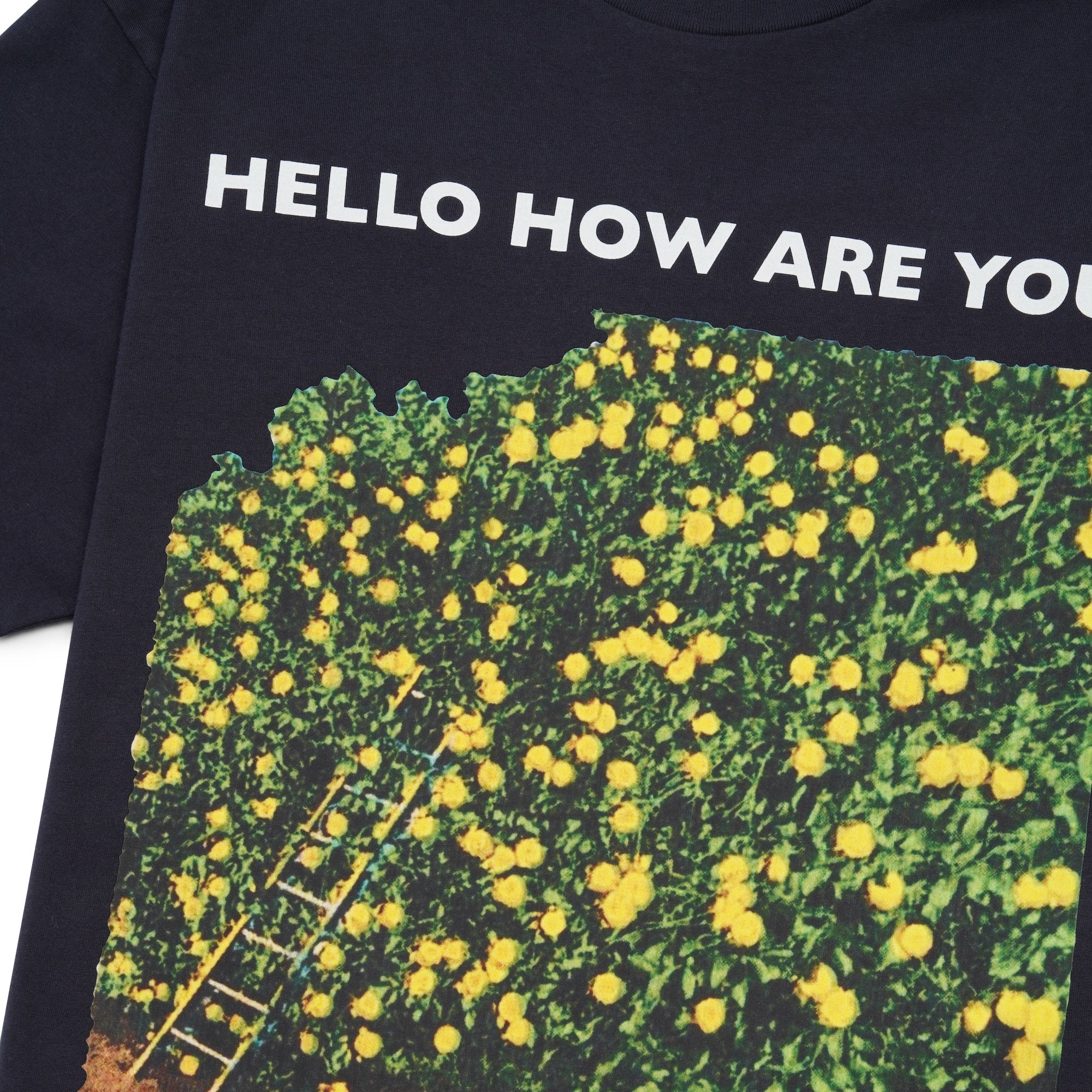 Hello How Are You Tee, Navy Blue - Image 3