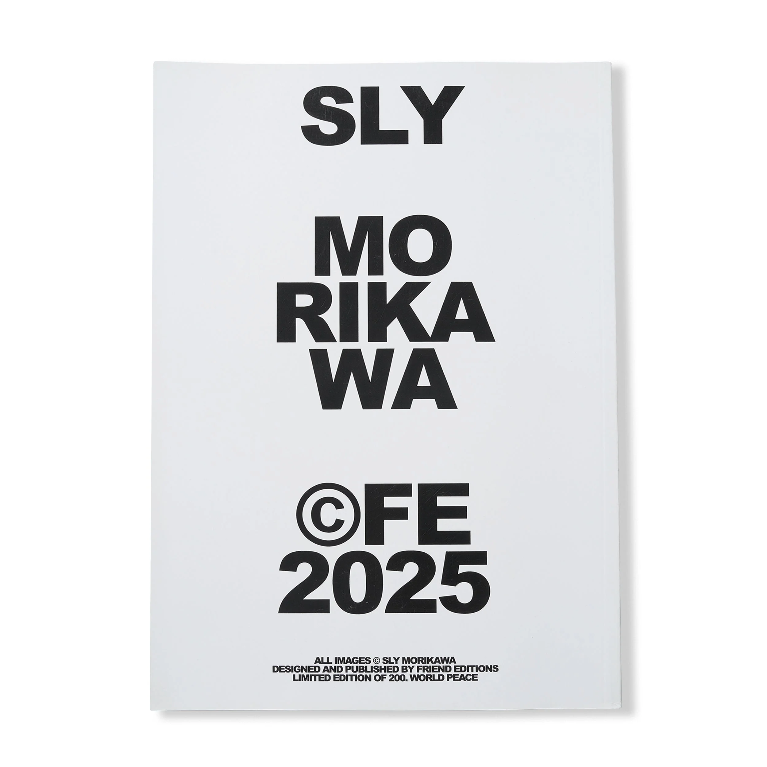 Highway Coaster Pleasure Land: Sly Morikawa - Image 8