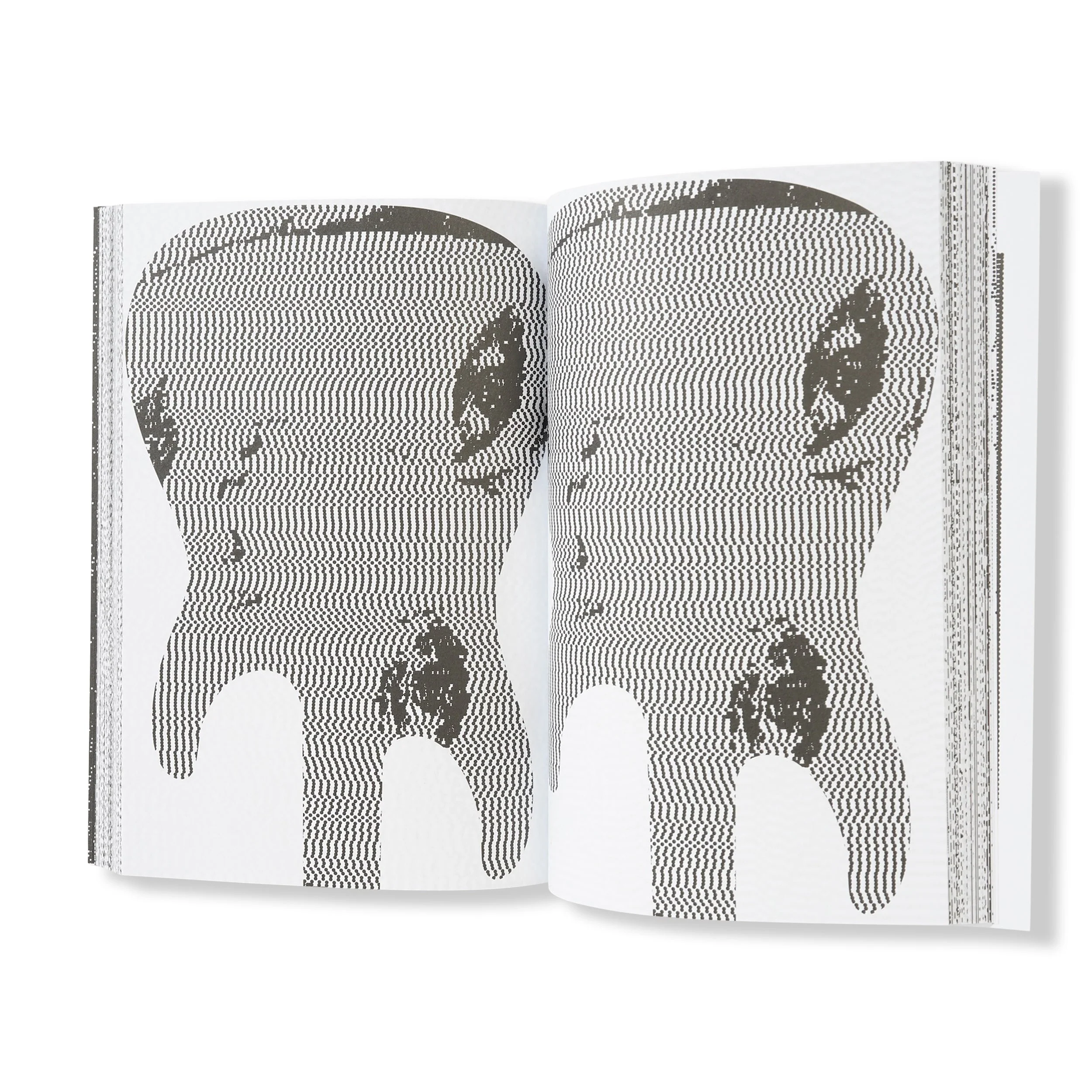 Hiroshi Iguchi Book - Image 3