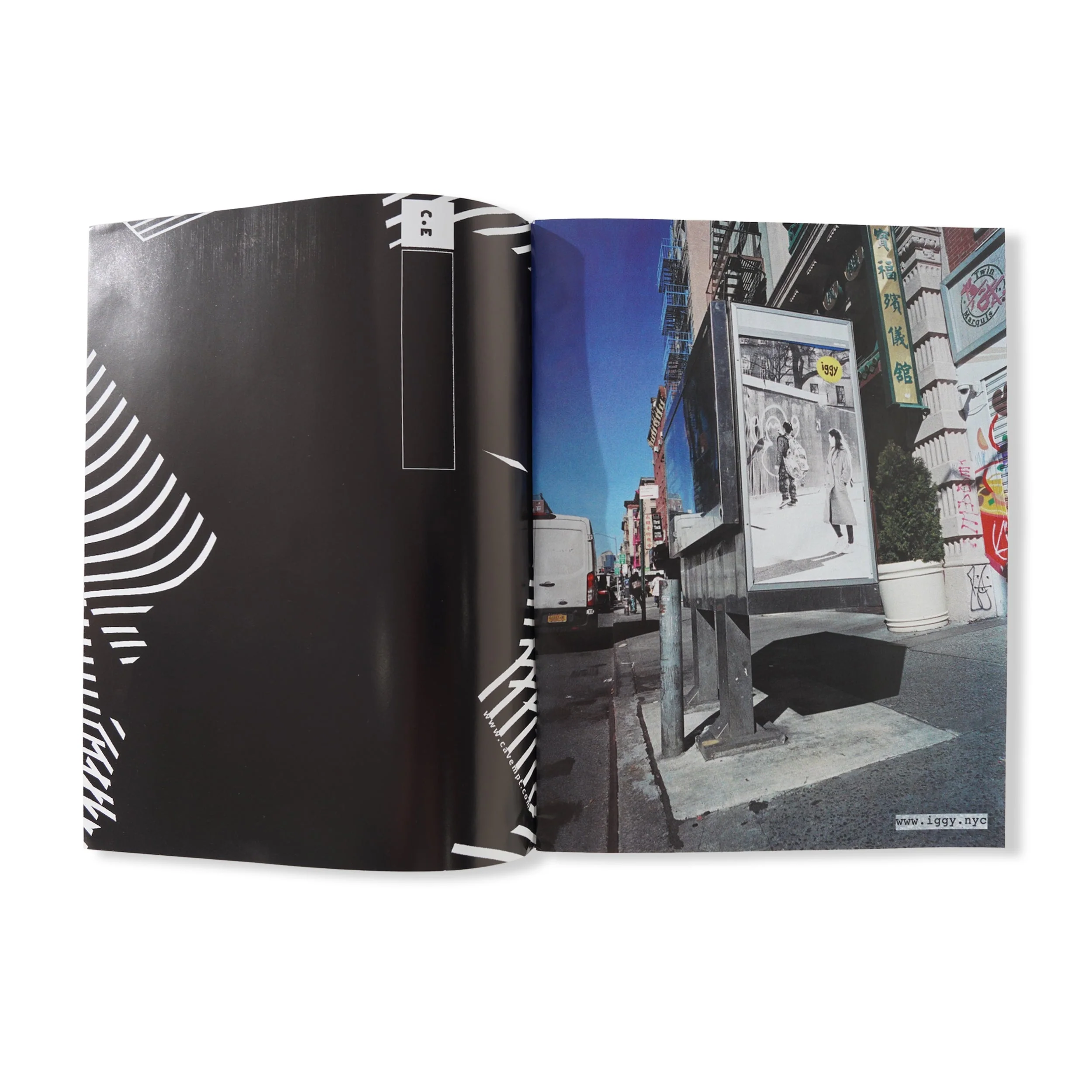 Issue 11 - Image 3