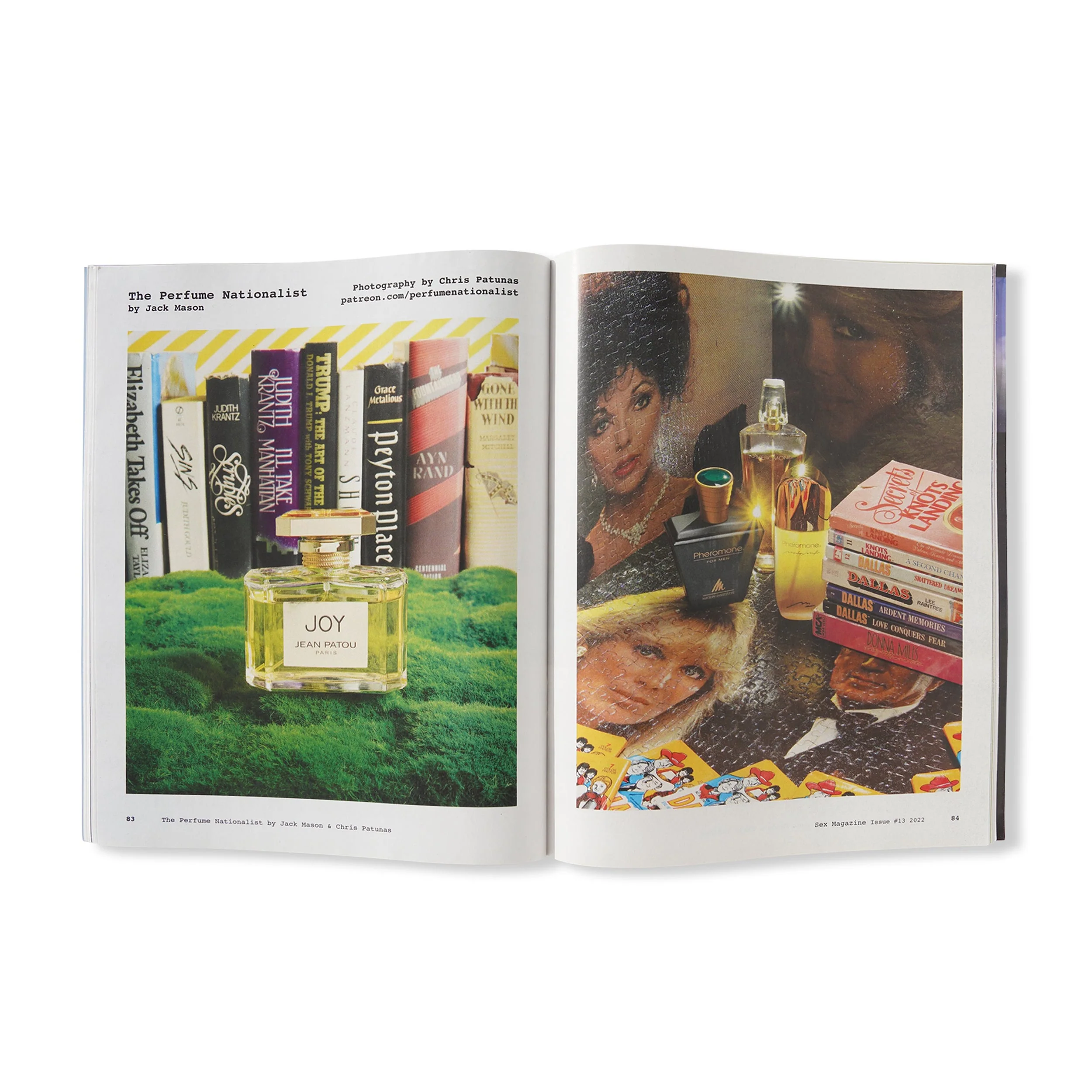 Issue 13 - Image 3