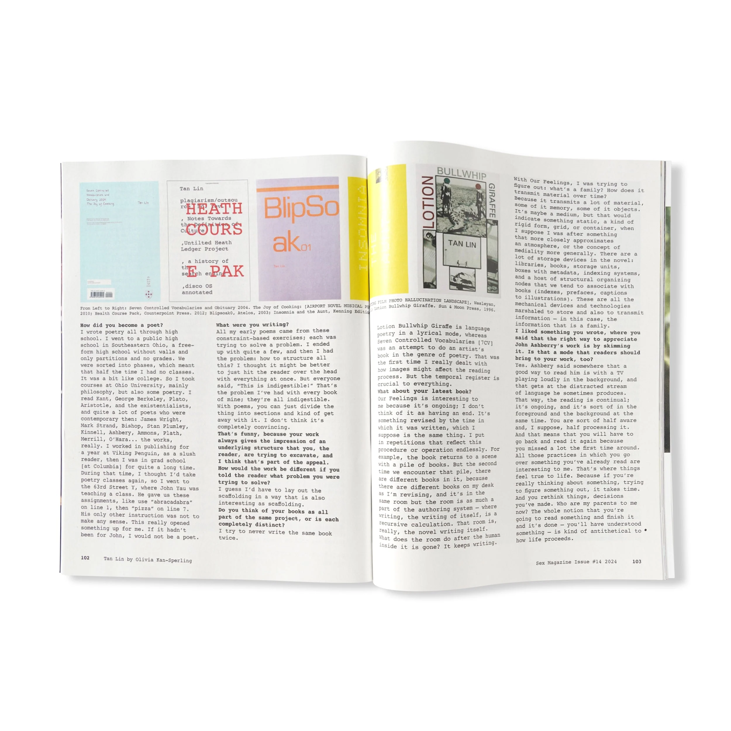 Issue 14 - Image 2