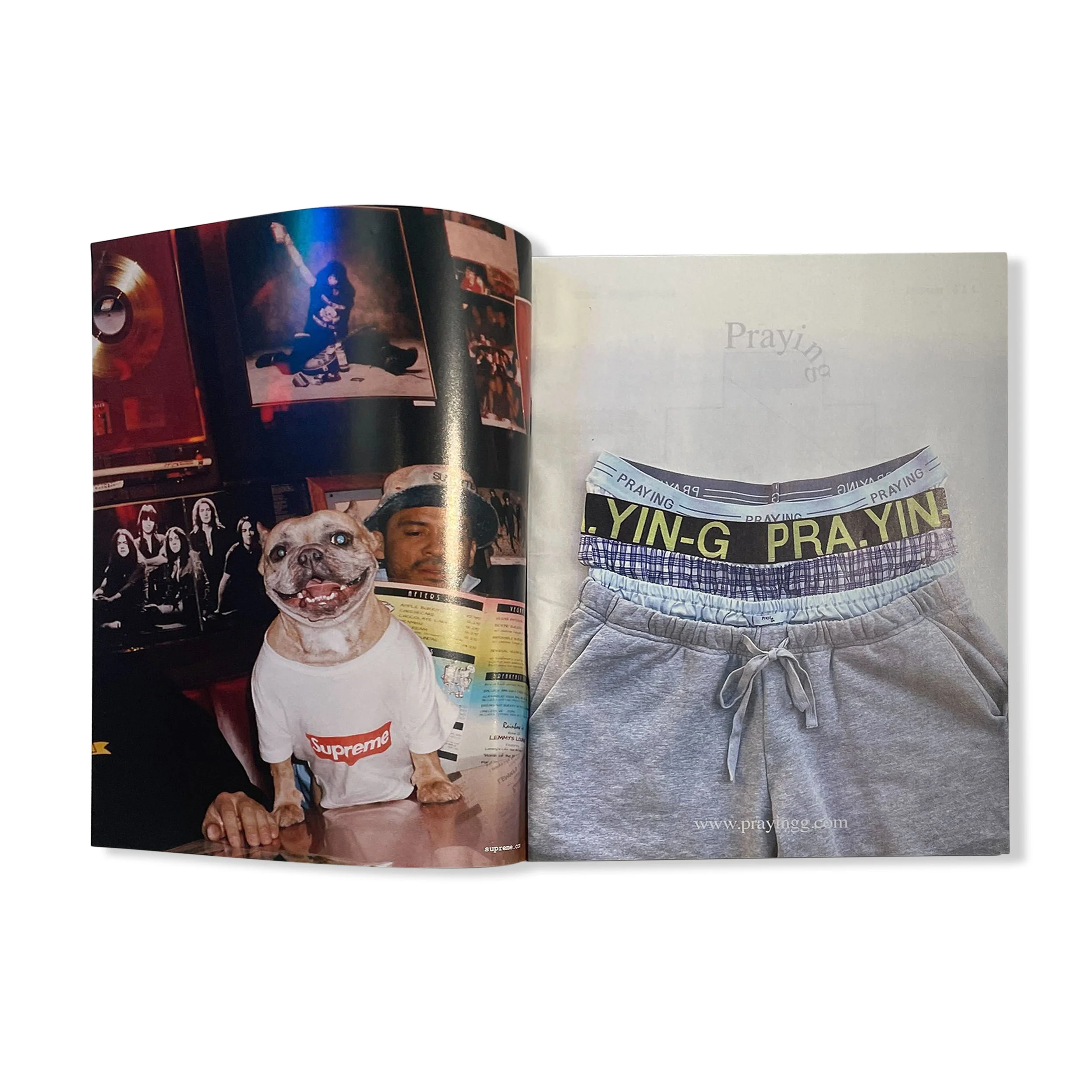Issue 14 - Image 5