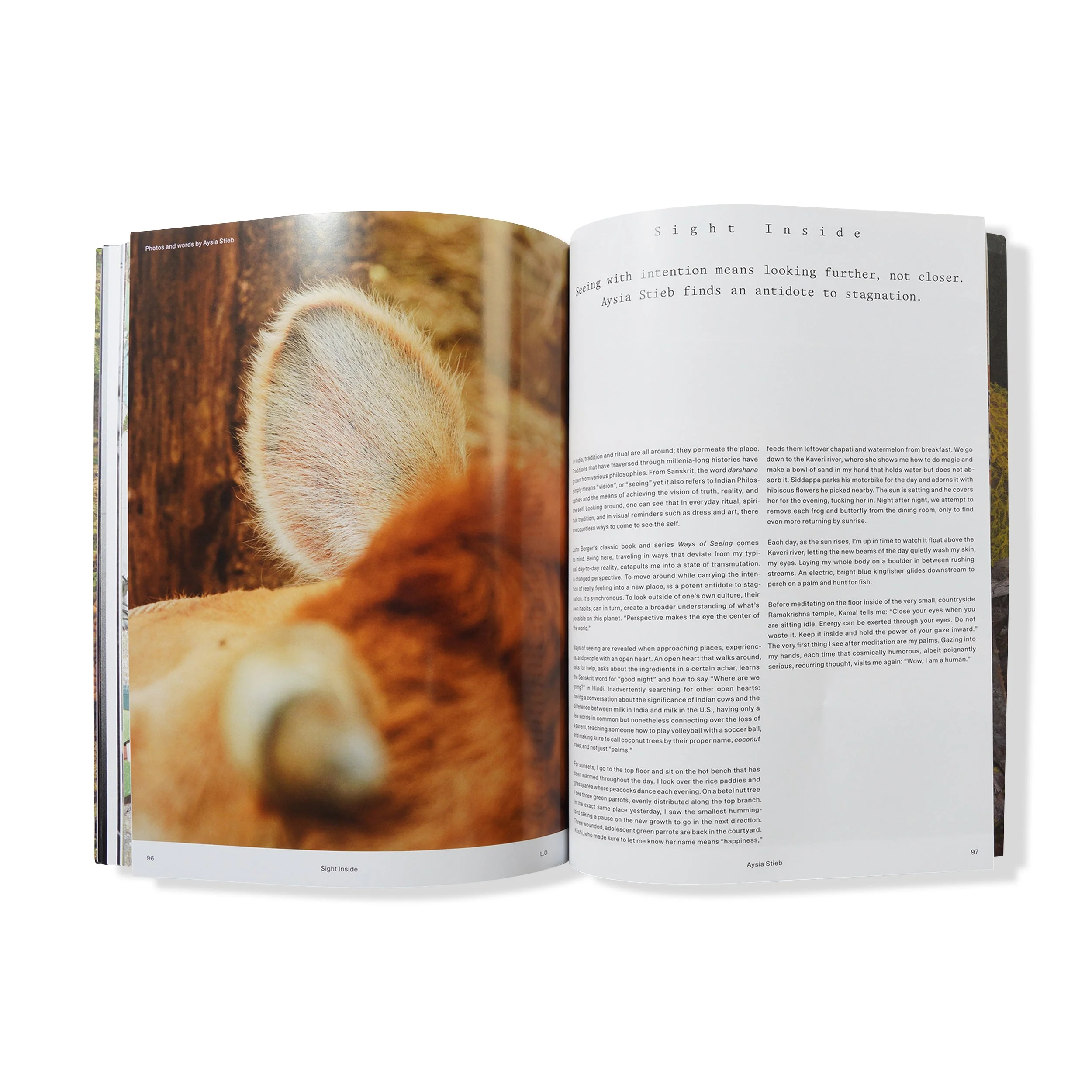 Local Optimist Issue 03, Rahill Jamalifard - Image 9