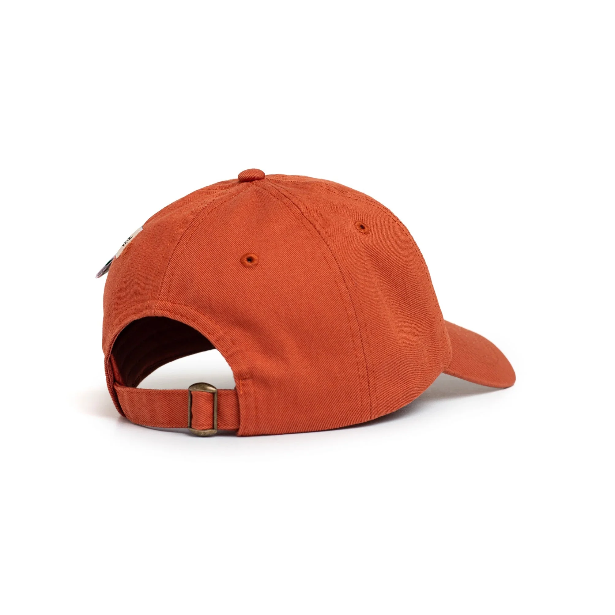 LTTT Hat, Rust - Image 3