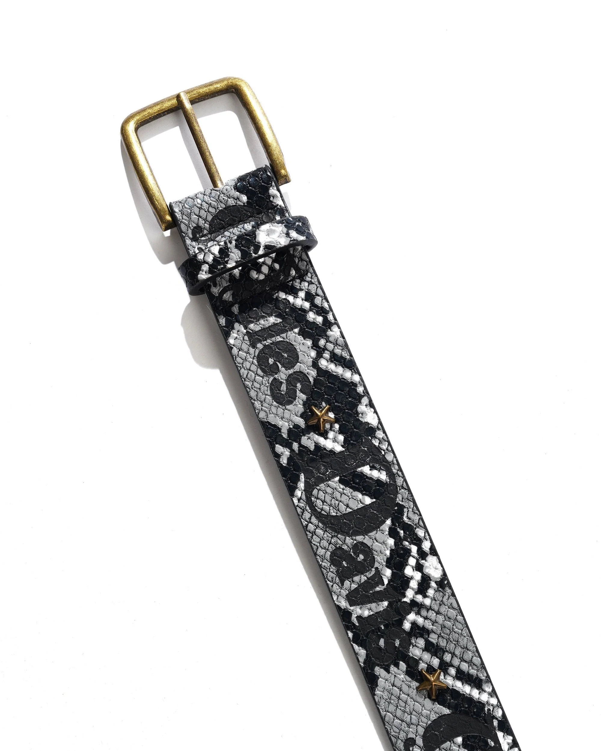 Miles Studded Belt, Snakeskin - Image 2