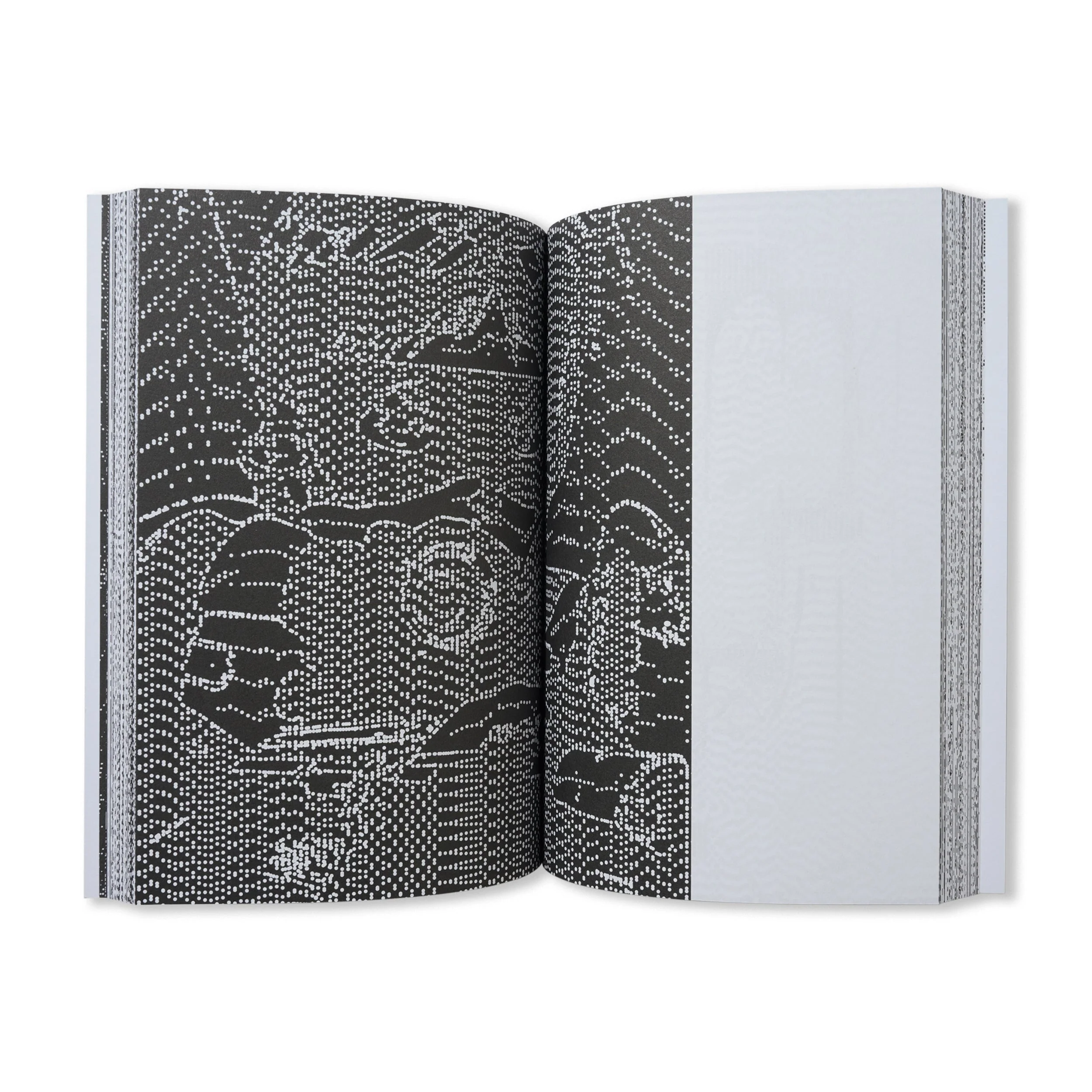 Mono/Poly - By Hiroshi Iguchi - Image 3