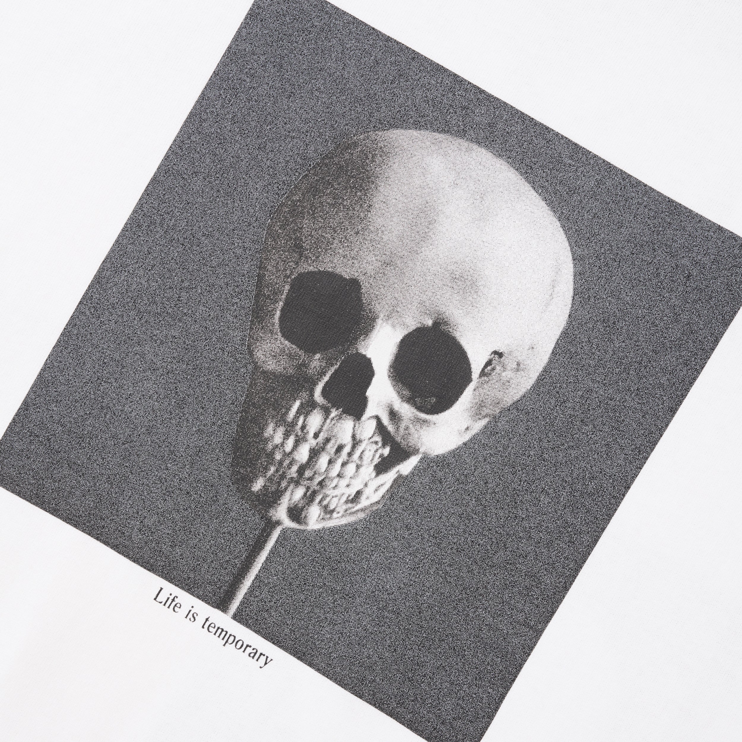 Morphology Tee, White - Image 3