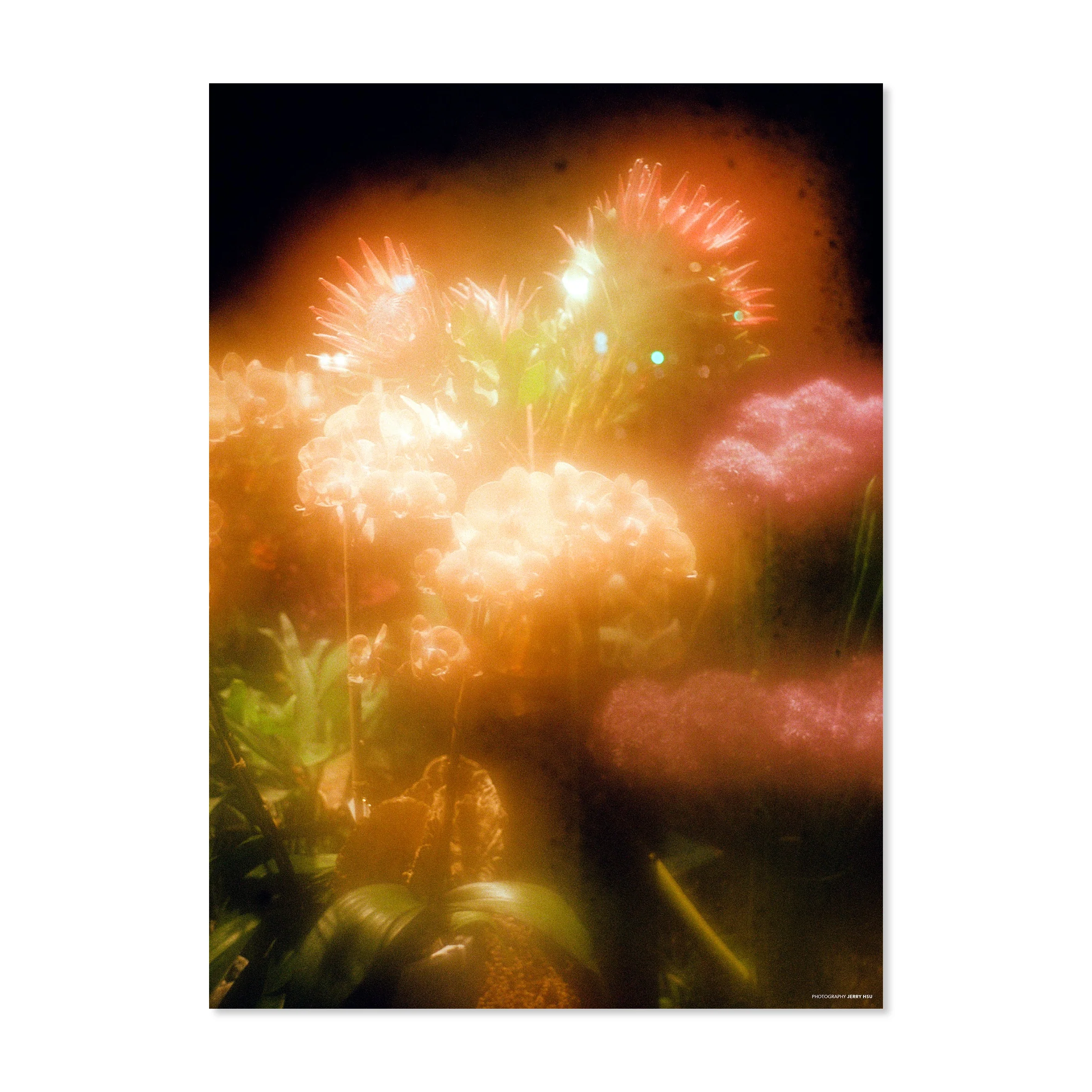 Sneeze Mag No. 66 - Holiday 2025 - Image 4