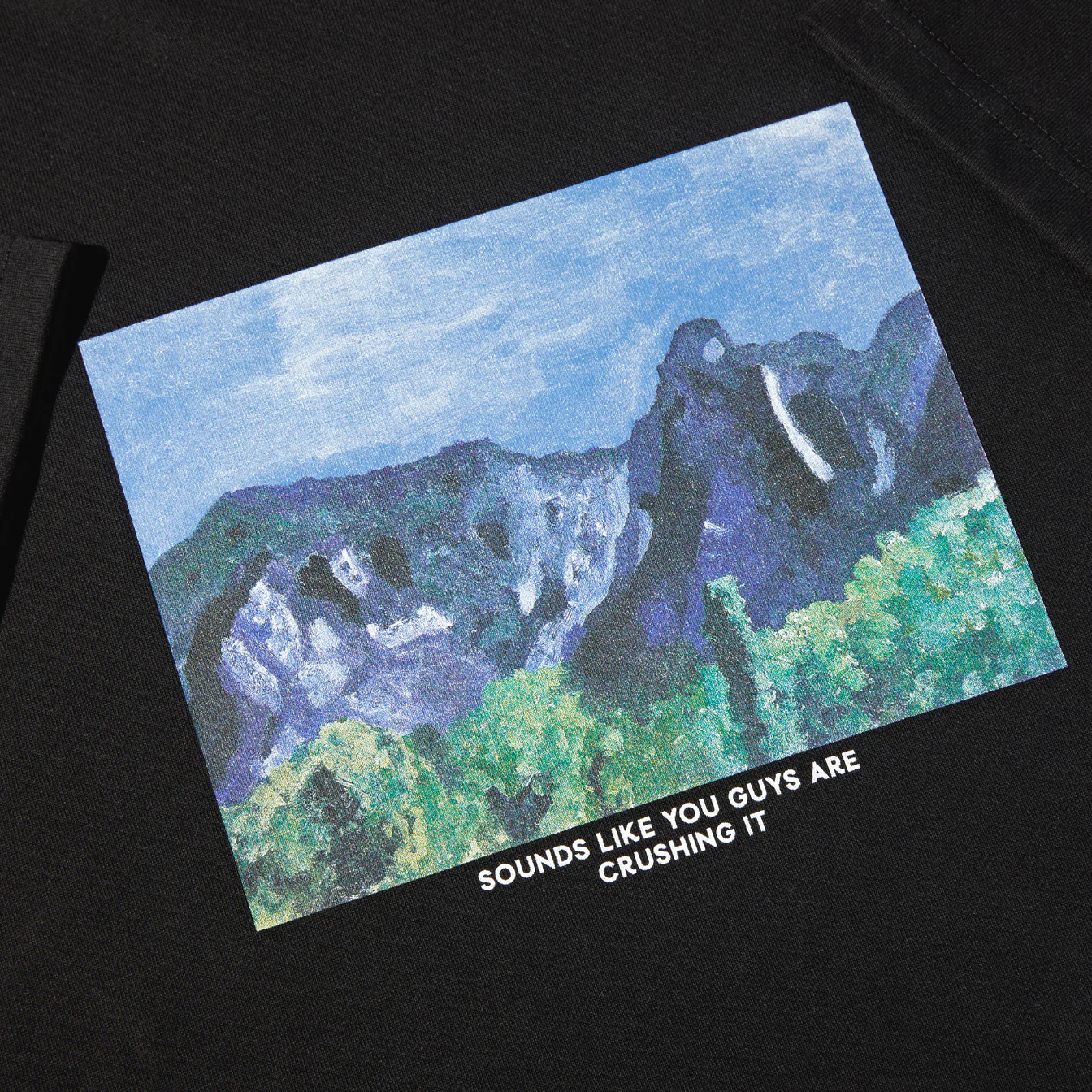 Sounds Like You Guys Are Crushing It Tee, Black - Image 2