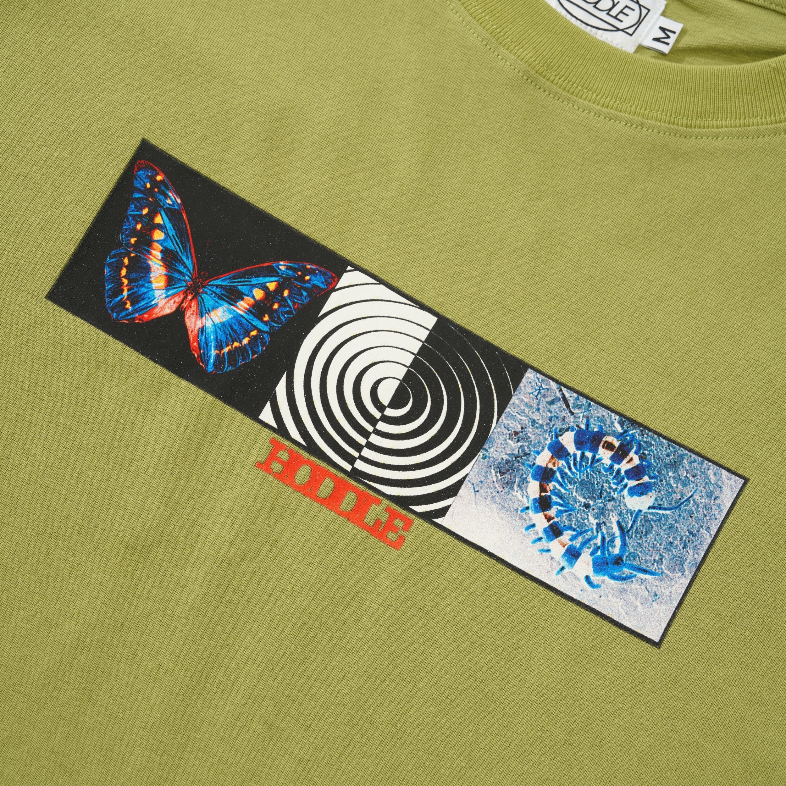 Specimen Tee, Pistachio Green - Image 2