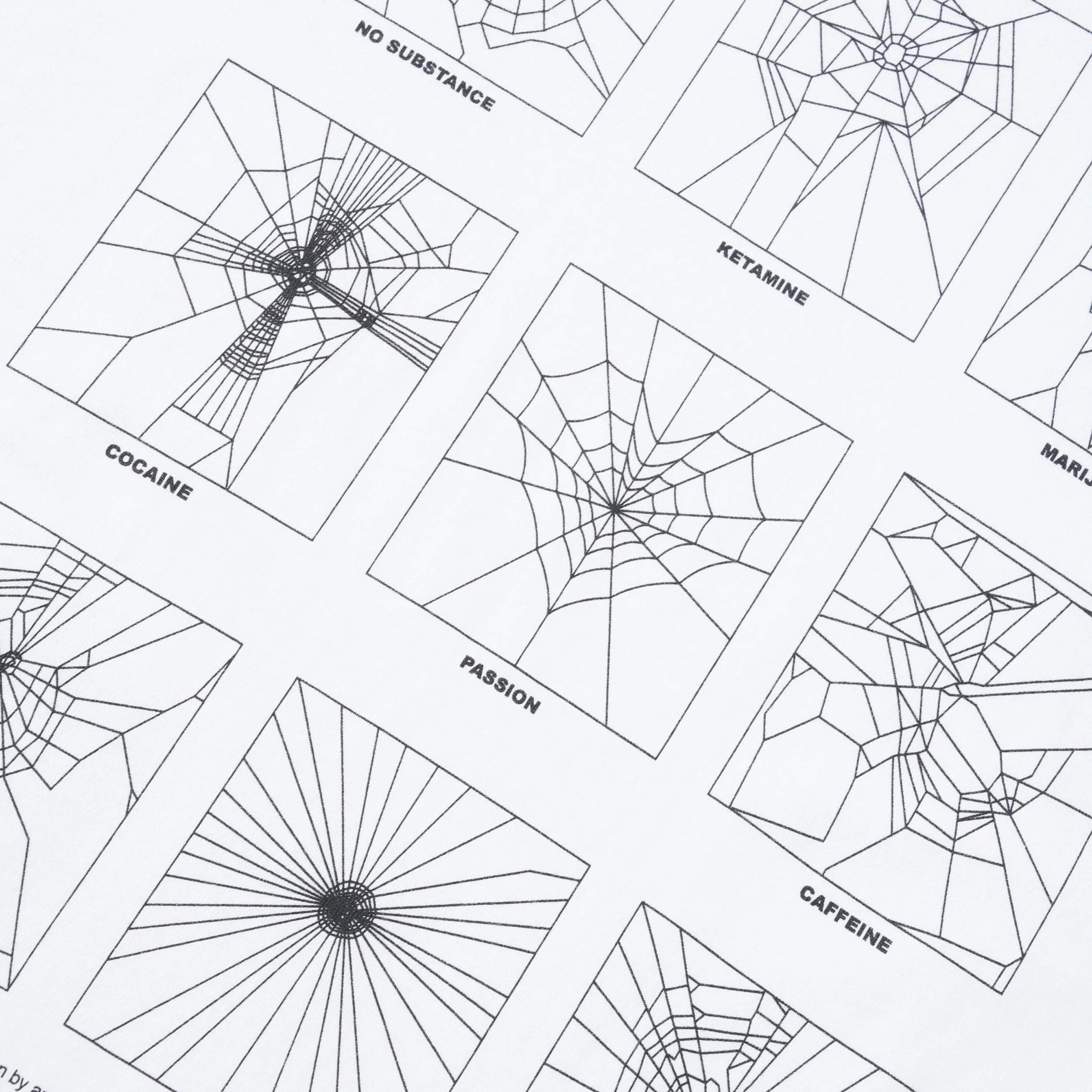 Spider Study Tee, White - Image 2