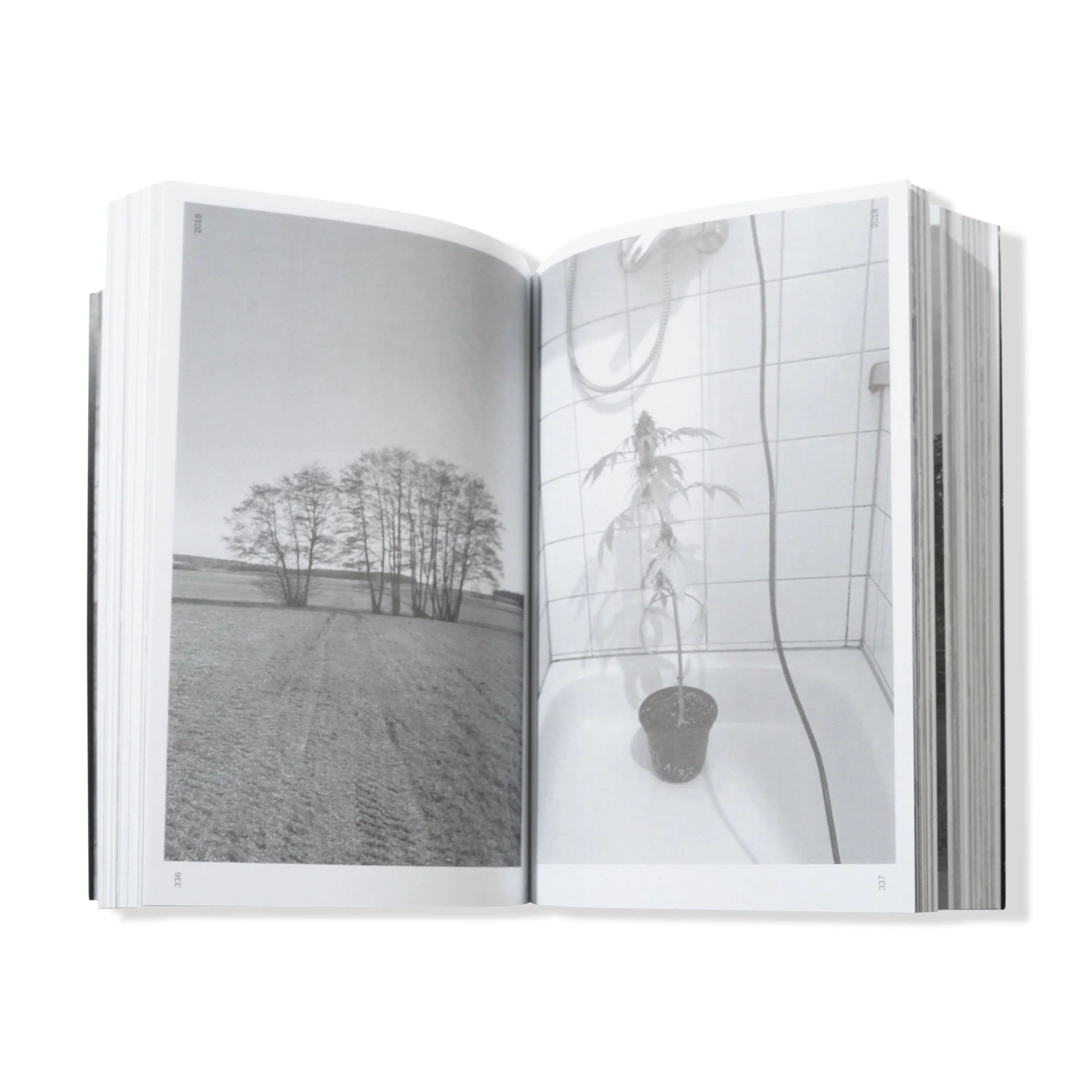 Stefan Marx 'Chronicles 2009-2023' - Image 6