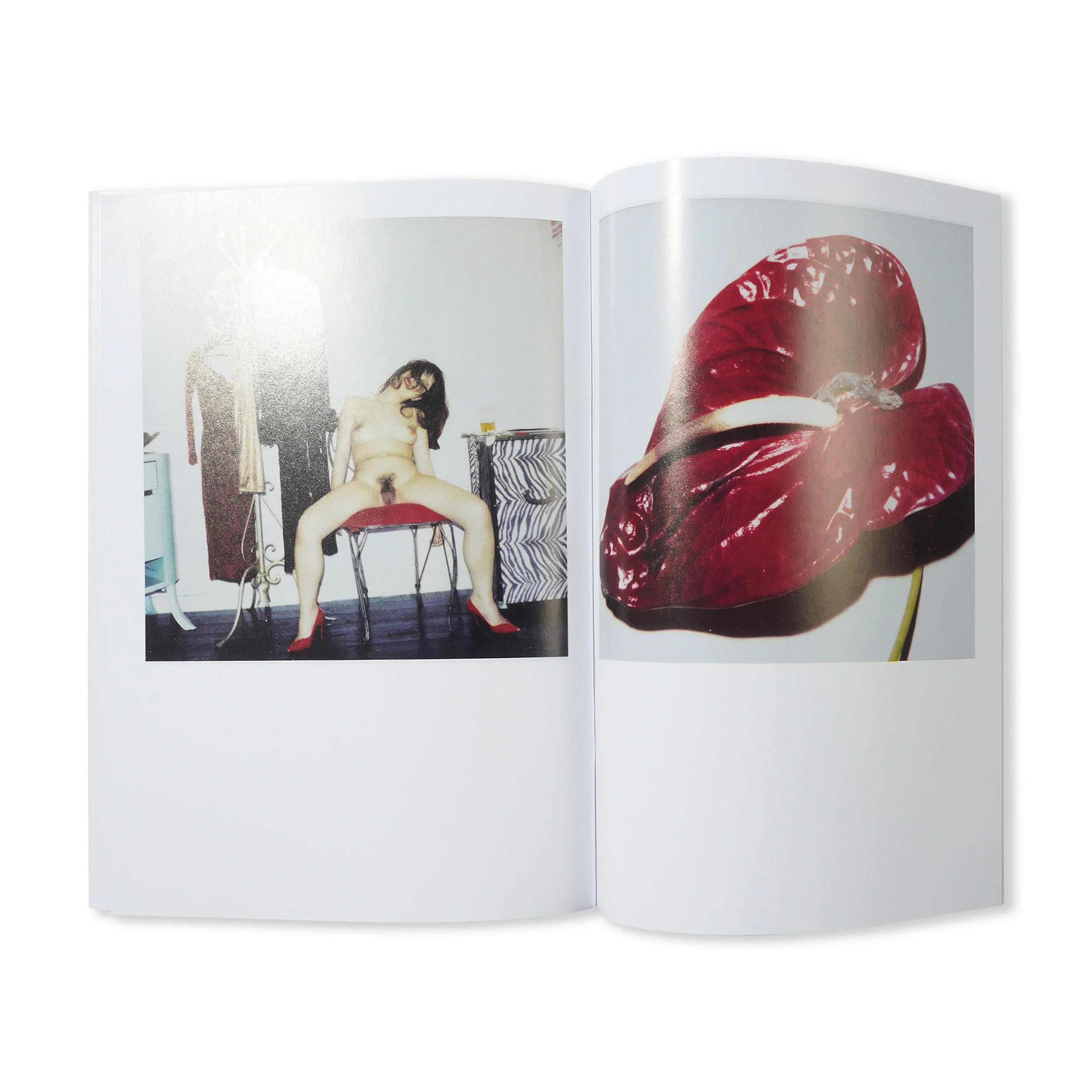 Untitled - By Nobuyoshi Araki - Image 6
